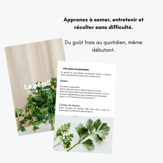 EBOOK - Cultiver ses herbes aromatiques : Le guide complet pour débuter