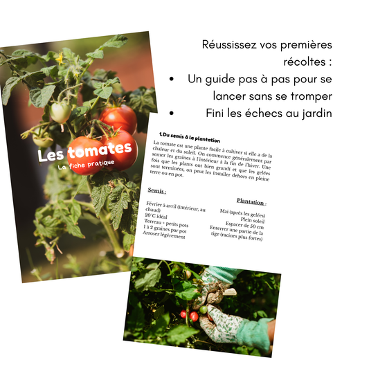 Le pack complet pour débuter au potager