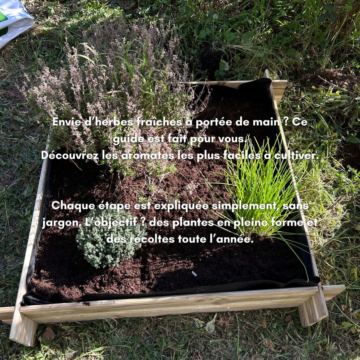 Le pack complet pour débuter au potager