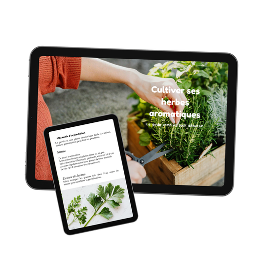 EBOOK - Cultiver ses herbes aromatiques : Le guide complet pour débuter