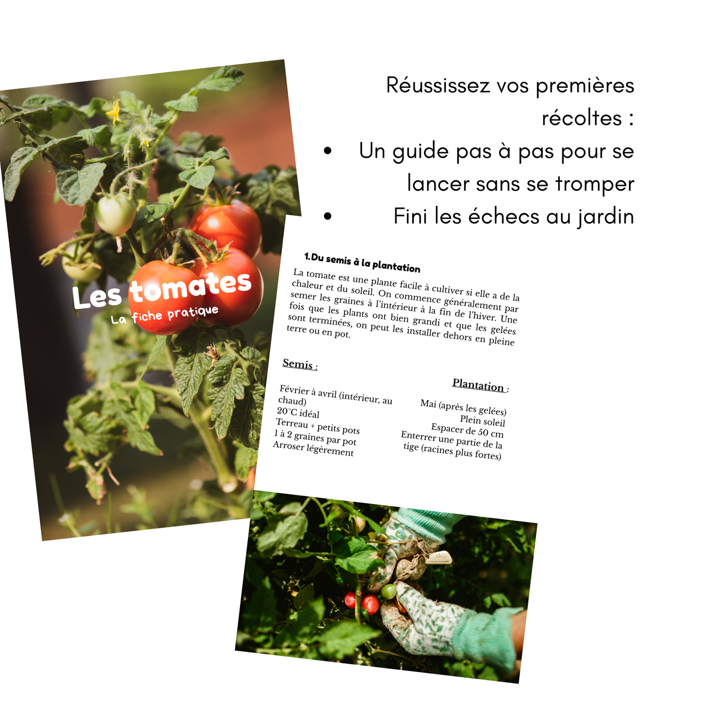 Le pack complet pour débuter au potager